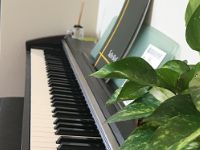 ピアノサロン港南台/レッスン内容/ポップスピアノ紹介のページ